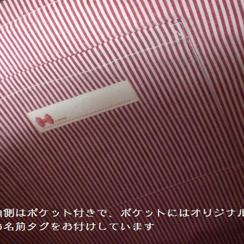 レッスンバッグ ポケット付き お名前タグ付き 入園 入学 カラフル