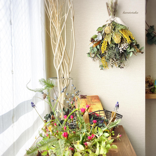 ミモザのドライフラワースワッグ ドライフラワー harutotaku 通販