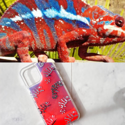 Mimic Chameleon 霓虹沙色 iPhone 手機殼/朱紅色 x 藍色 第6張的照片