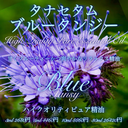 ブルータンジー(タナセタム)精油10ml その他素材 EarthshareAroma 通販