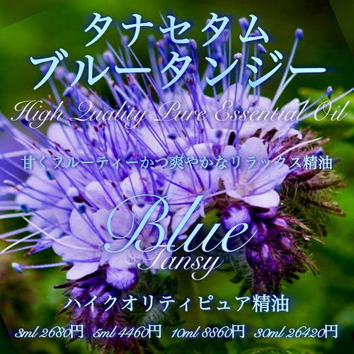 タナセタム(ブルータンジー)精油5ml その他素材 EarthshareAroma 通販
