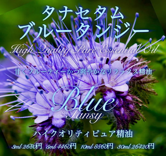 タナセタム(ブルータンジー)精油5ml その他素材 EarthshareAroma 通販