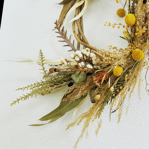 ボタニカルリース　ドライフワラー ボタニカル リース ドライフラワー blanc 通販 13378404｜Creema(クリーマ)