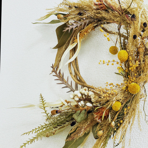 ボタニカル リース ドライフラワー blanc 通販 13378404｜Creema(クリーマ)