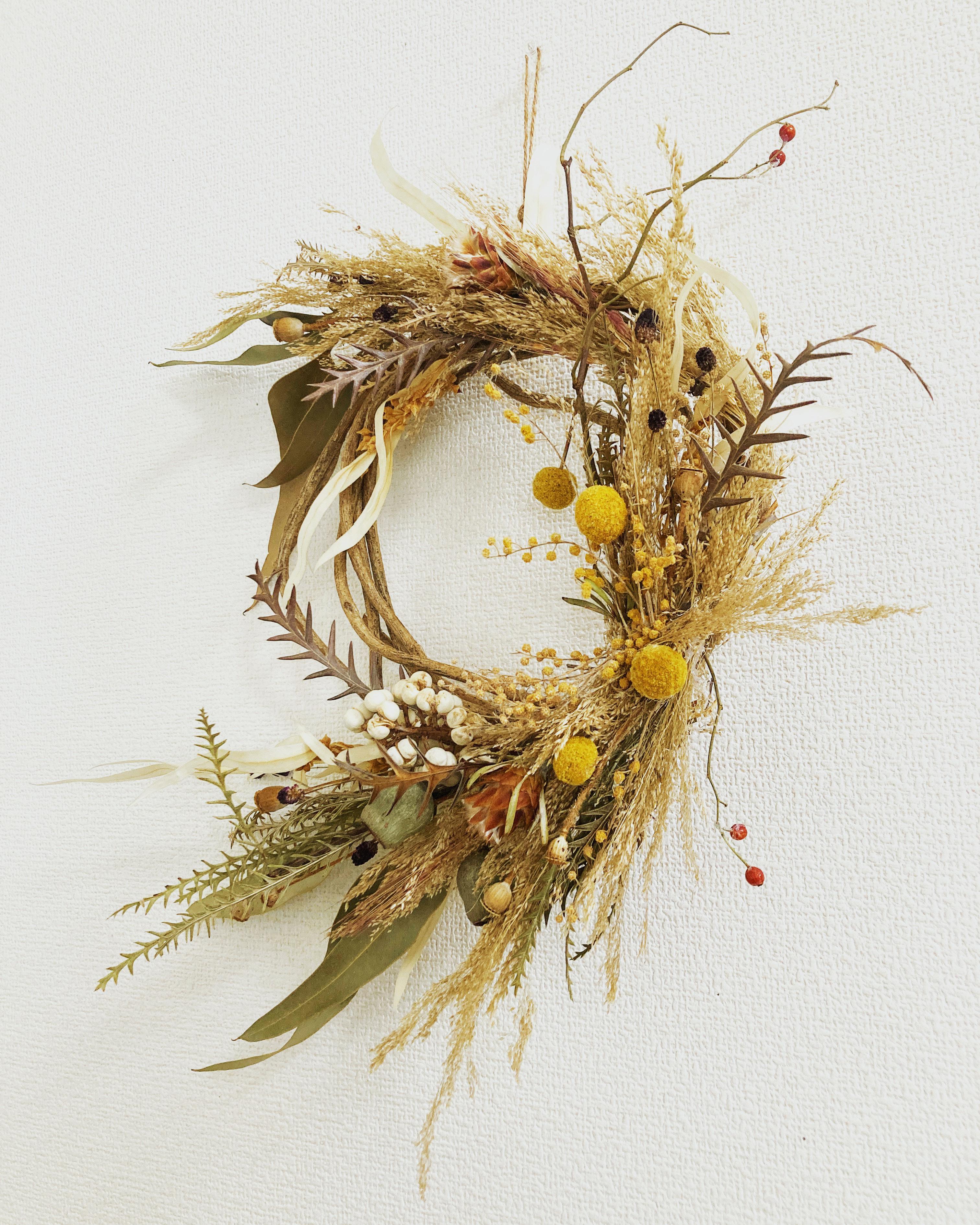 ボタニカルリース　ドライフワラー ボタニカル リース ドライフラワー blanc 通販 13378404｜Creema(クリーマ)