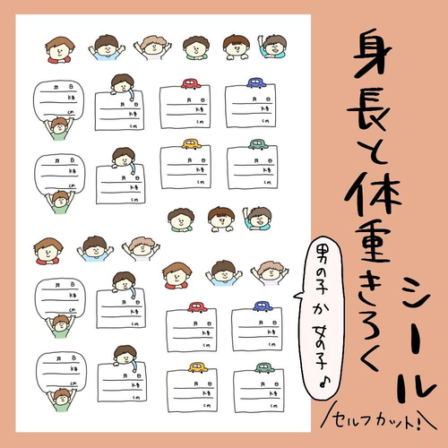 身長と体重の記録用シール⭐︎性別選んでね 雑貨・その他 pocaのお 