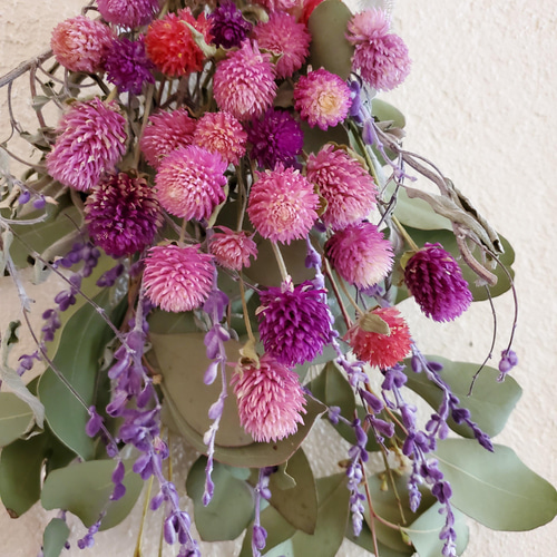 千日紅のスワッグ☆小さめ [送料込み] スワッグ GREEN ROSE 通販