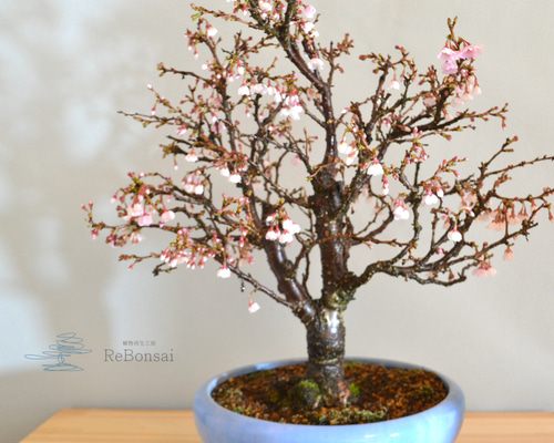 硝子工芸 盆栽 花 インテリア 梅 桜 美術品 アート 楽天市場】絵画 現代日本画 花鳥画 春飾り 紅白梅に鶯 北山歩生