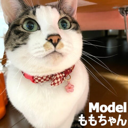 滋味豊かなさくらのりぼん＊猫ちゃん首輪 6枚目の画像