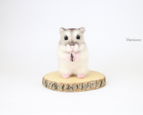 a9e4870916256f119b3b78b4f541cb