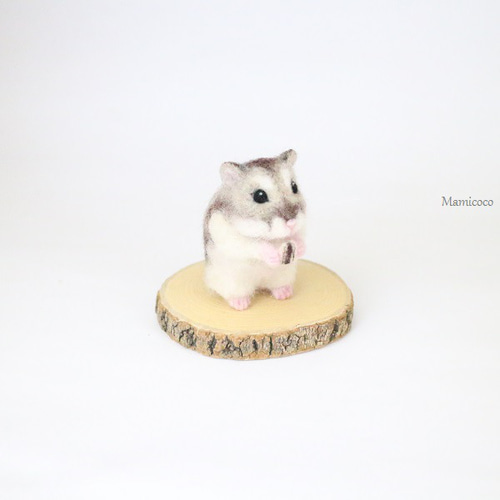 再販 siro.m様売約済み】 ジャンガリアンハムスター（ノーマル