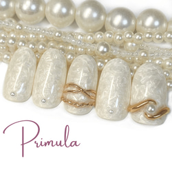 ネイルチップ べっ甲2/ミラーネイル/ニュアンス/上品/成人式/卒業式