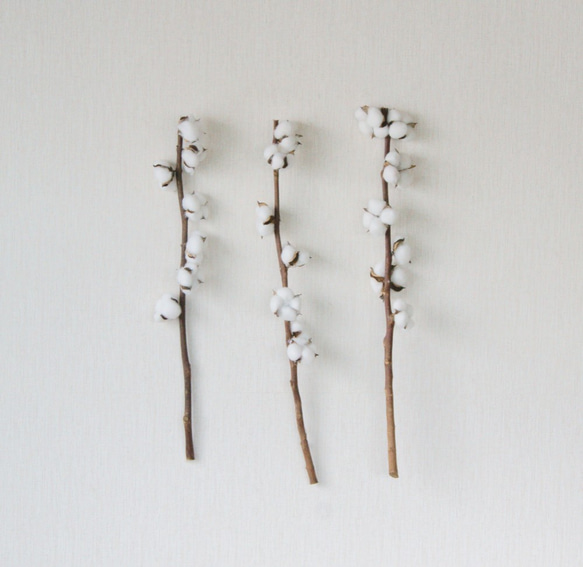 【造花】コットンフラワー白色　７輪　２本セット　65cm 2枚目の画像