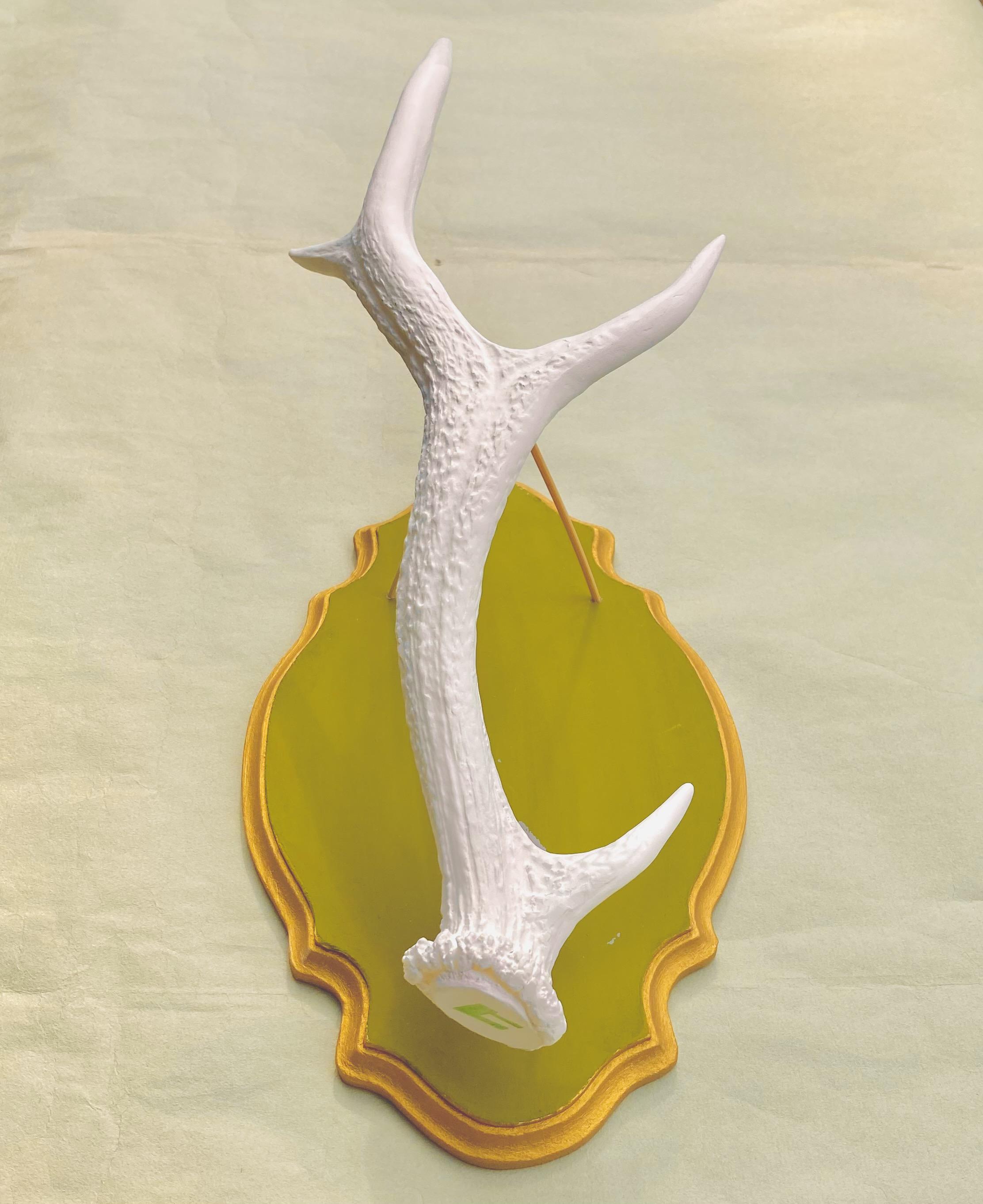 Deer horn x Cherry blossom