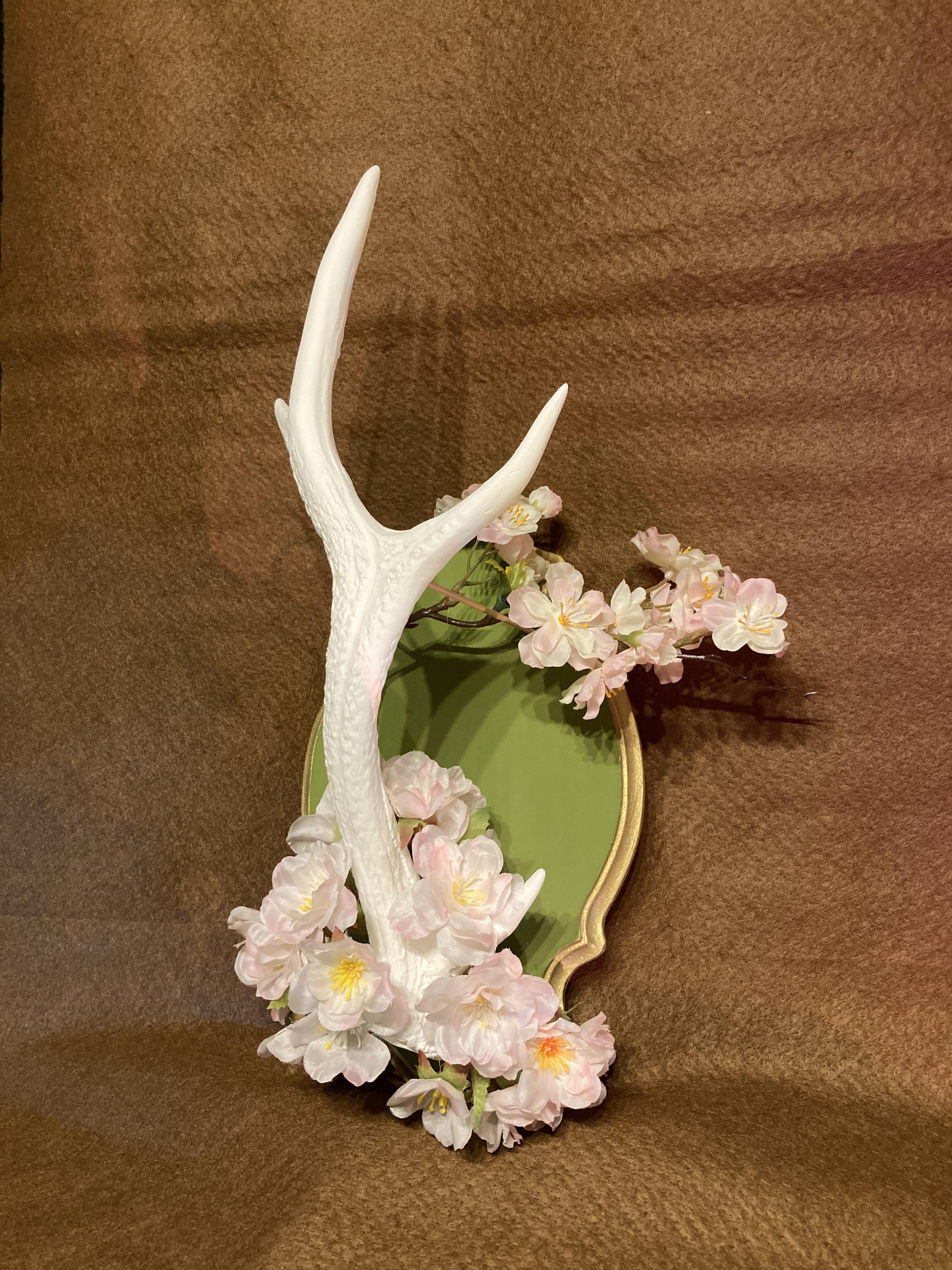 Deer horn x Cherry blossom