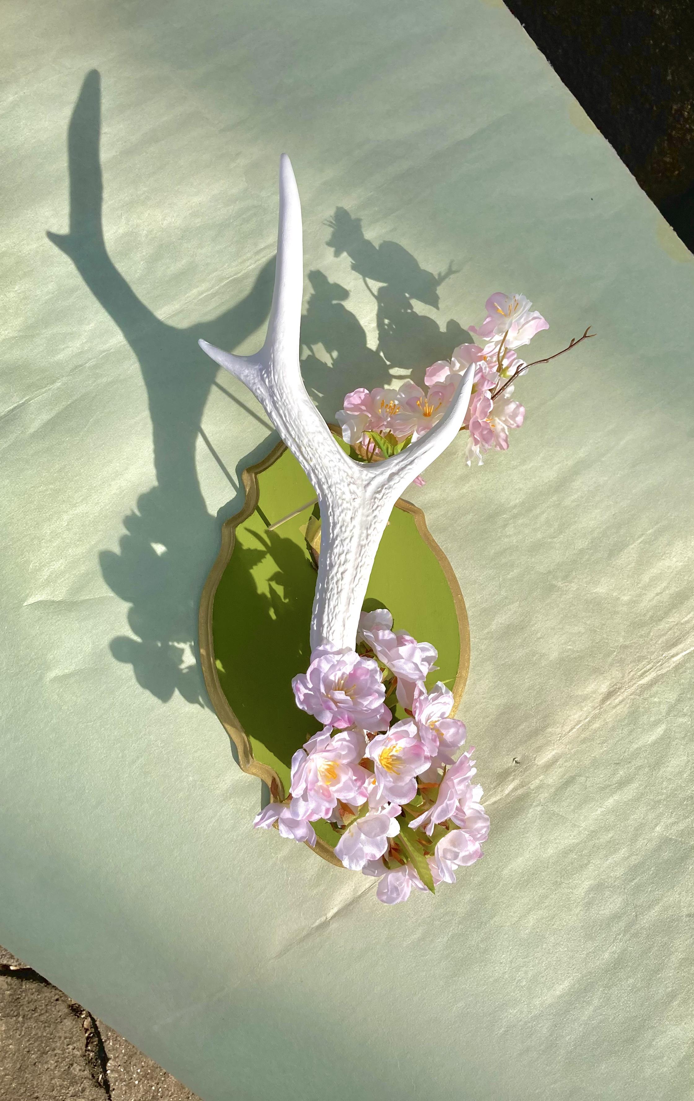 Deer horn x Cherry blossom