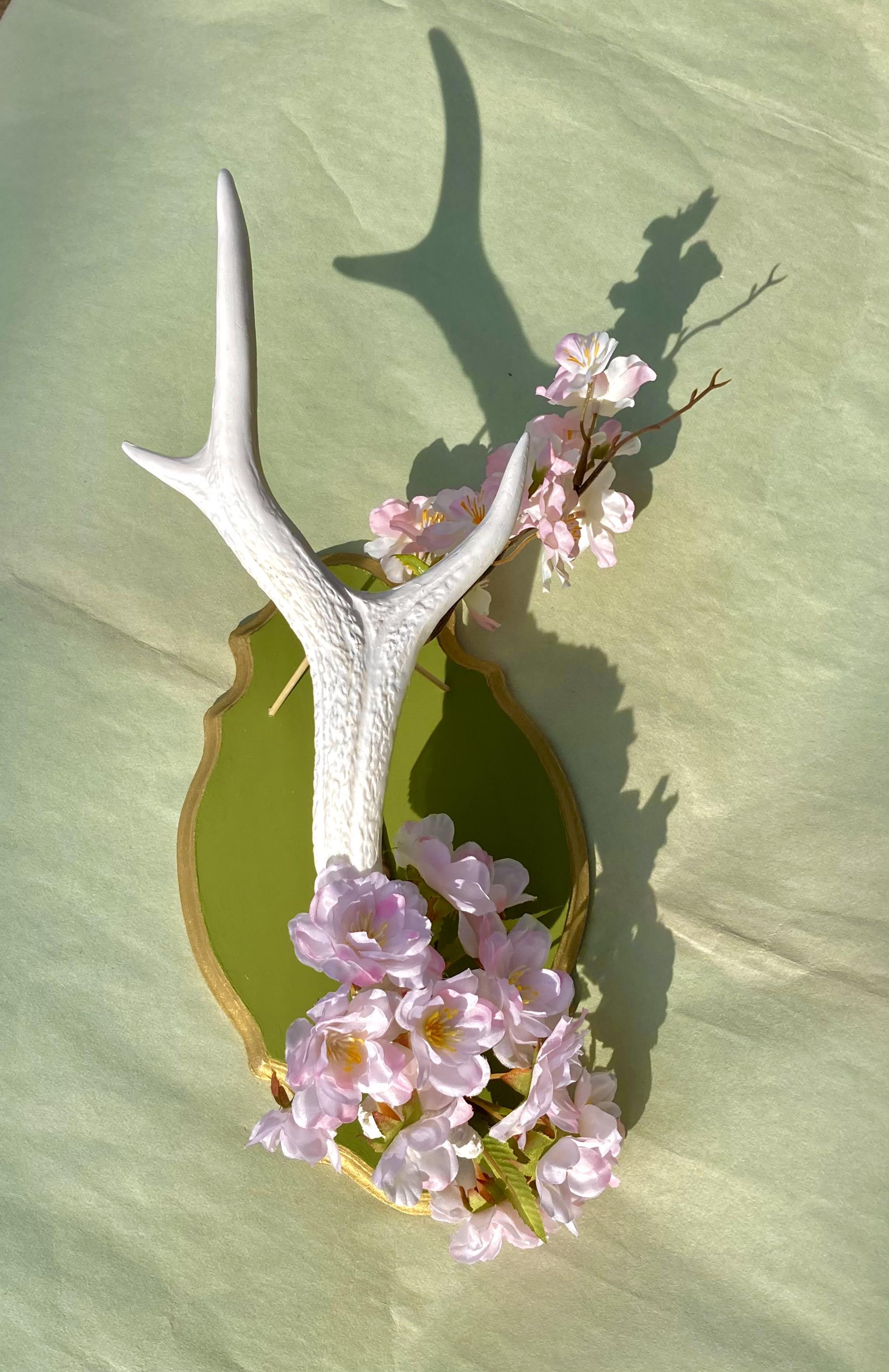 Deer horn x Cherry blossom