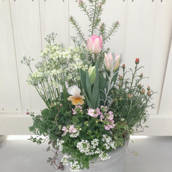 d968593cf4127d8f529a480aeba73a