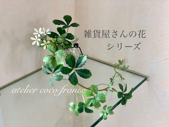 ⭐︎雑貨屋さんの花シリーズ⭐︎シュガーバインと木苺のマジカル