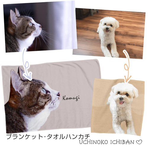 うさぎ 飼育グッズ まとめ売り 犬猫小動物用 楽天市場】小動物 ケージ うさぎ ペットケージ キャスター 小型 1段