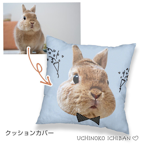うさぎ 飼育グッズ まとめ売り 犬猫小動物用 ペットグッズの印刷データ作成（いぬ ねこ 犬 猫 ネコ ペット うさぎ