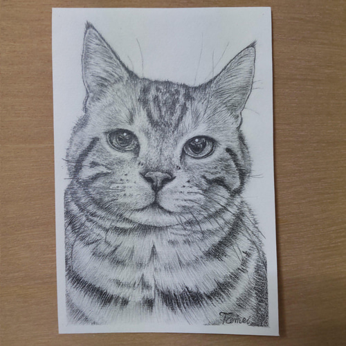 アメリカンショートヘア」 絵画 透明美術館。 通販 13383036