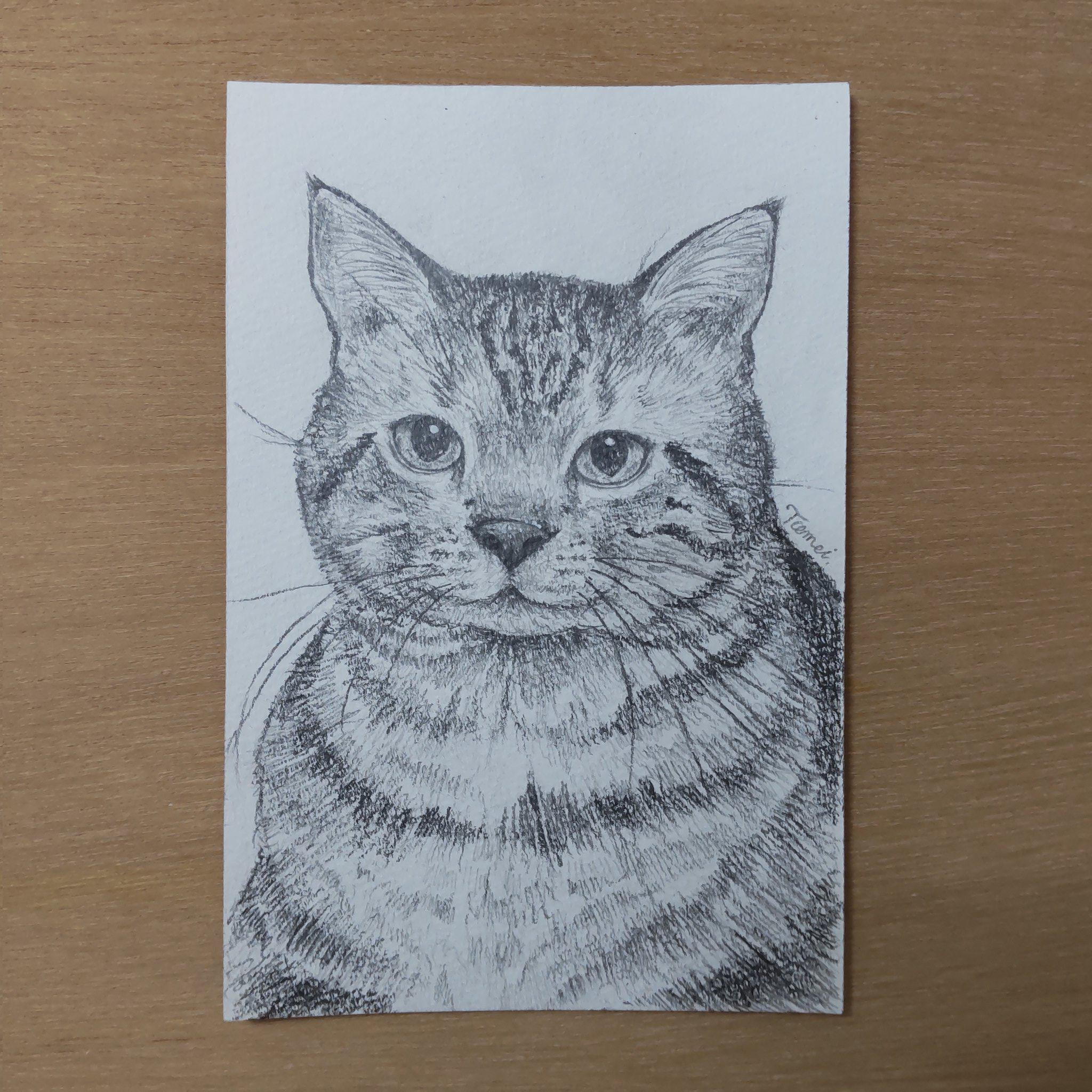 原画「窓辺の猫・アメリカンショートヘアー」猫/風景/イラスト/絵/アート/額付 原画「窓辺の猫・アメリカンショートヘアー」猫/風景/イラスト