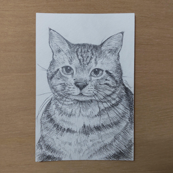 F 3号サイズ額縁 アメリカンショートヘア 油絵 油絵額縁 6013/ブラック