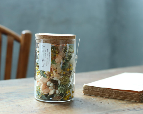 12a737dafccaa451229cf103e9e325