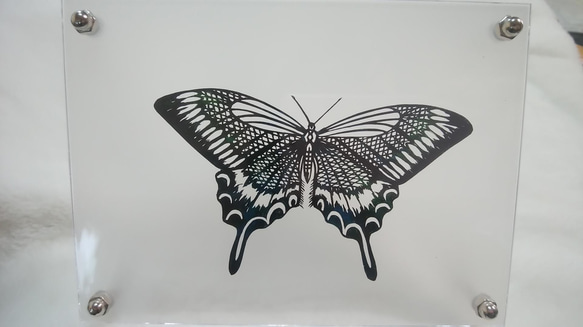 切り絵　蝶々 2枚目の画像