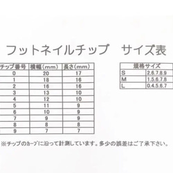 シェルの敷き詰め/フットネイルチップ/ネイルチップ/付け爪/シンプル/サンダル 4枚目の画像