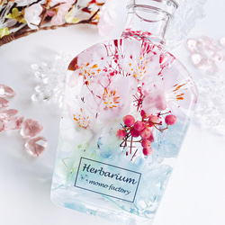 春を告げる桜のハーバリウム　pastel  フラワーギフト 2枚目の画像