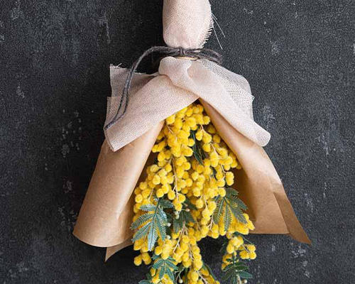 6435f2383293aeeaddd8797e4fa127