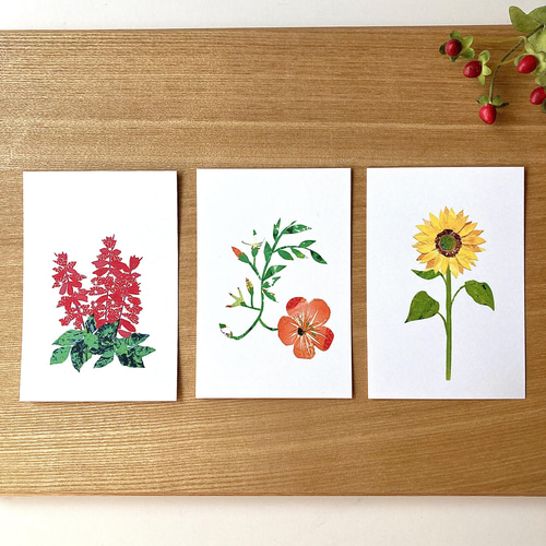 四季の花ポストカードセット ポストカード tomocollage 通販