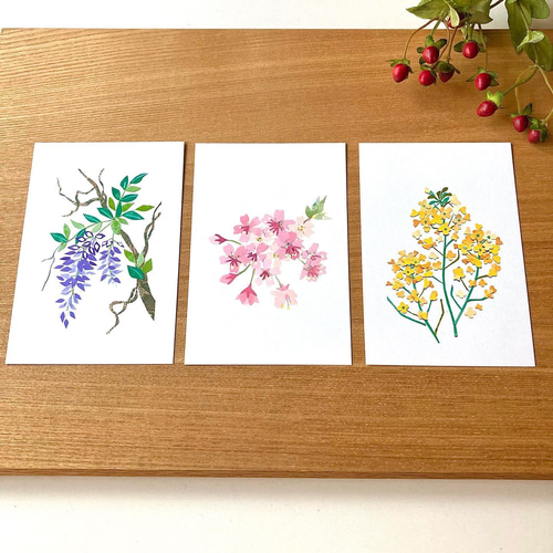 四季の花ポストカードセット 明信片 tomocollage 的作品