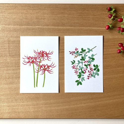 四季の花ポストカードセット 明信片 tomocollage 的作品