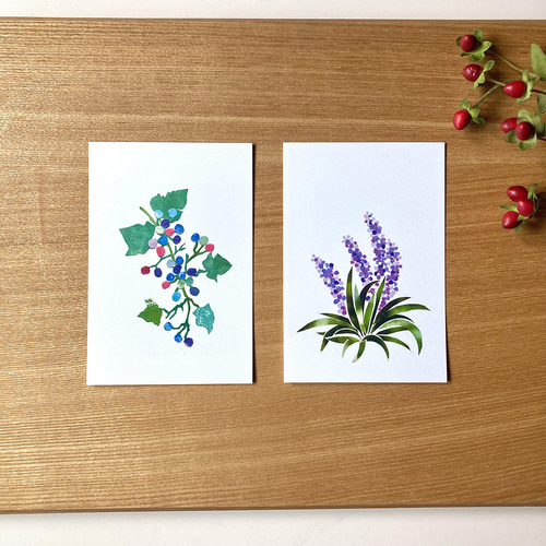 四季の花ポストカードセット ポストカード tomocollage 通販