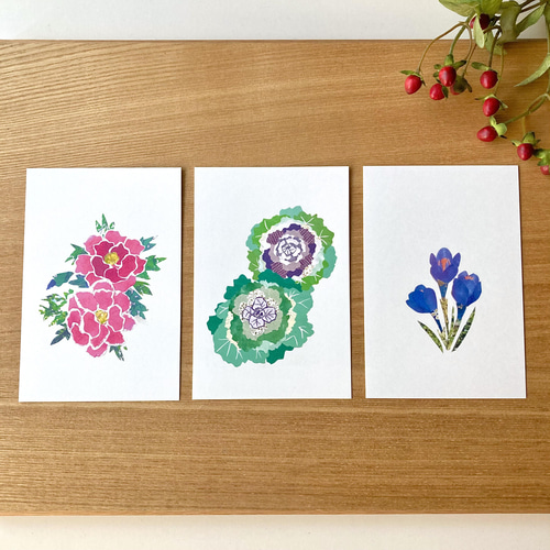 四季の花ポストカードセット ポストカード tomocollage 通販