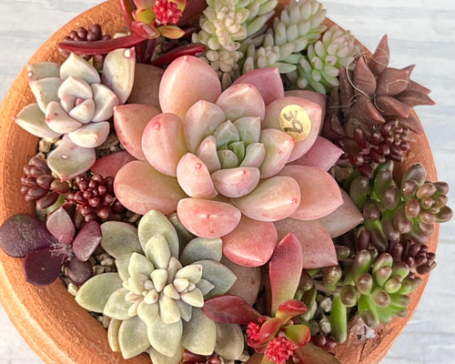 c5046e51e8a09fd2225e9e055eca53