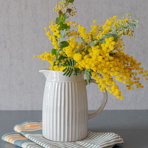 花瓶&フレッシュミモザ】陶器マグとフレッシュミモザの花束を 花瓶&フレッシュミモザ】陶器マグとフレッシュミモザの花束を