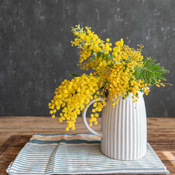【花瓶&フレッシュミモザ】陶器マグとフレッシュミモザの花束をセットでお届け！ キッチンクロスセット  高さ35cm 4枚目の画像