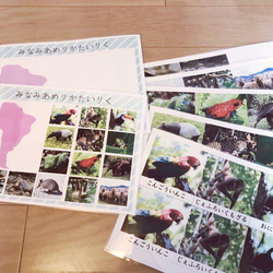 ☆モンテッソーリ☆ 7大陸に住む動物 絵カード・ワークシート 3枚目の画像