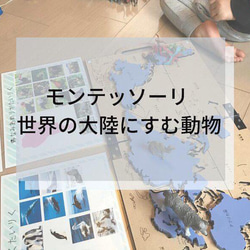 ☆モンテッソーリ☆ 7大陸に住む動物 絵カード・ワークシート 1枚目の画像