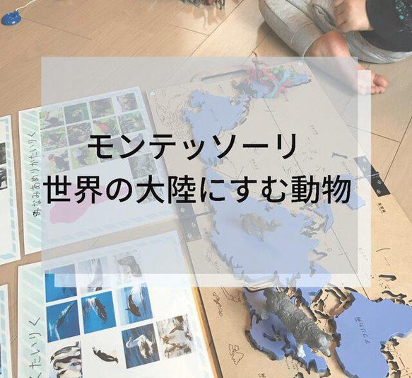 ☆モンテッソーリ☆ 7大陸に住む動物 絵カード・ワークシート 1枚目の画像