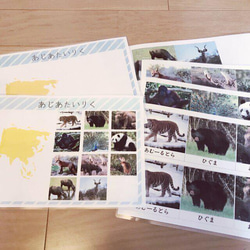 ☆モンテッソーリ☆ 7大陸に住む動物 絵カード・ワークシート 5枚目の画像