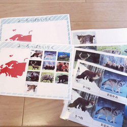 ☆モンテッソーリ☆ 7大陸に住む動物 絵カード・ワークシート 2枚目の画像