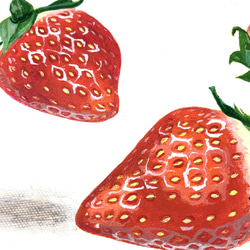 【原画 アルキド絵具 キャンバス】Ukabu Strawberries/SM/サムホール/いちご/具象画/フルーツ 5枚目の画像