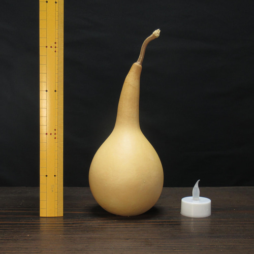 ○19cm○届いてすぐ作れる!京のひょうたんランプキット【CLK ○19cm○届いてすぐ作れる!京のひょうたんランプキット【CLK