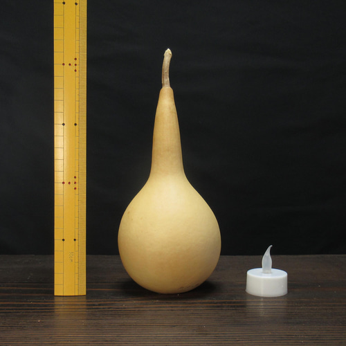 ○19cm○届いてすぐ作れる!京のひょうたんランプキット【CLK ○19cm○届いてすぐ作れる!京のひょうたんランプキット【CLK