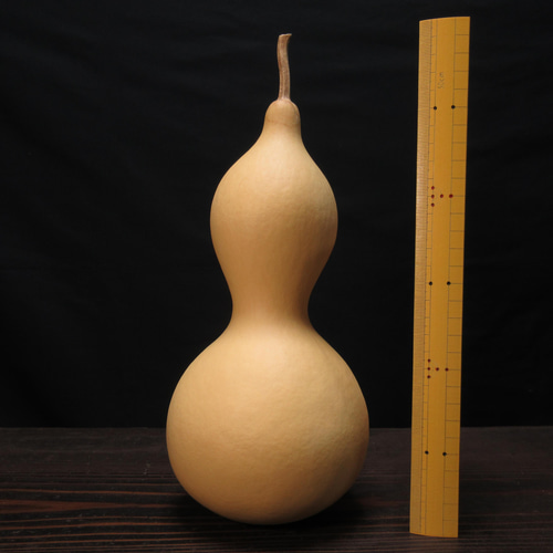 ○27cm○ひょうたんランプが作れます。コンセント式ランプ台セット